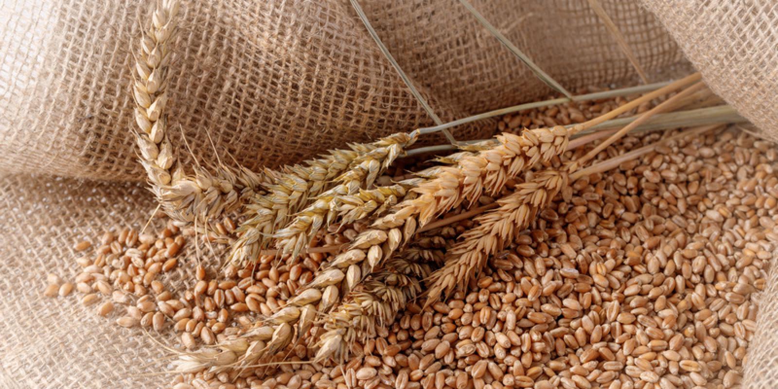 Microbiotic diet