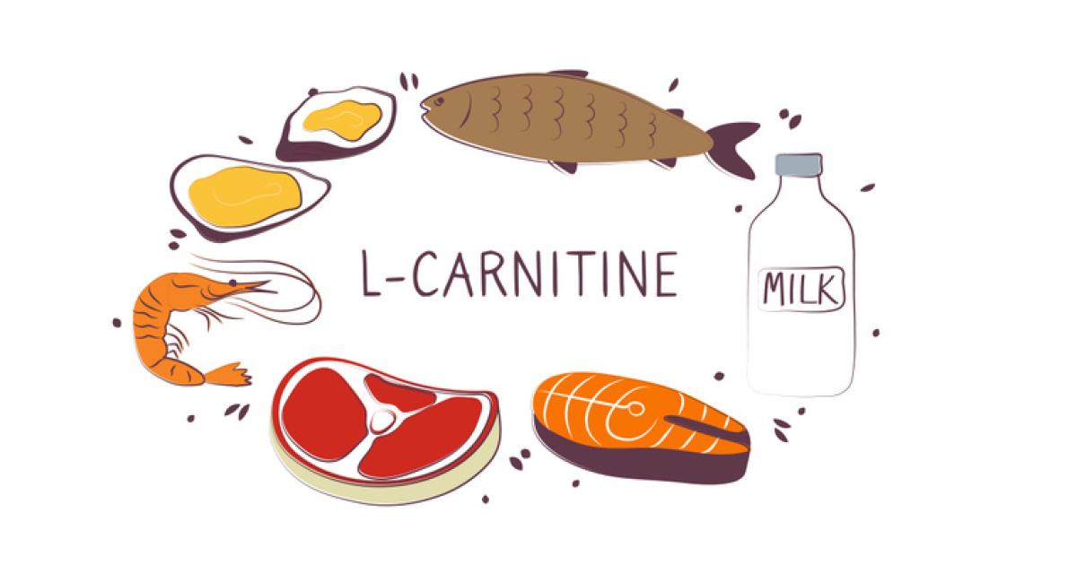 what food has acetyl l carnitine Acetyl L-Carnitine 1000mg Tablets – Green Labs Nutrition